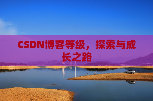 CSDN博客等级，探索与成长之路